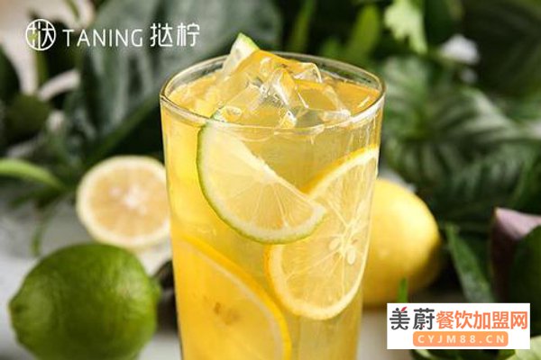 taning挞柠奶茶加盟费