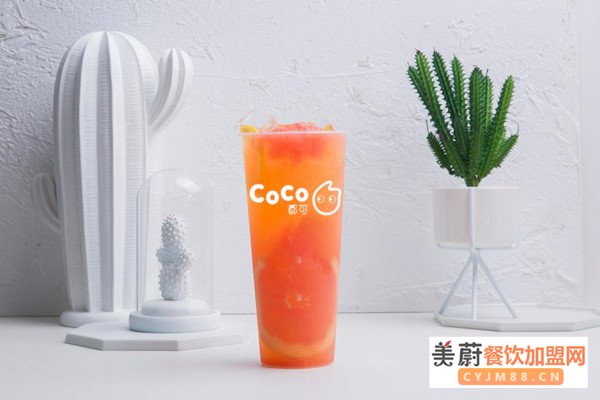 Coco都可奶茶加盟在市场中有非常大的潜力，前景广阔