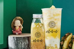 娃哈哈奶茶店落地，如何与coco、一点点争高下？