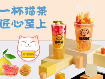 猫茶匠加盟费用多少？猫茶匠加盟条件有哪些？