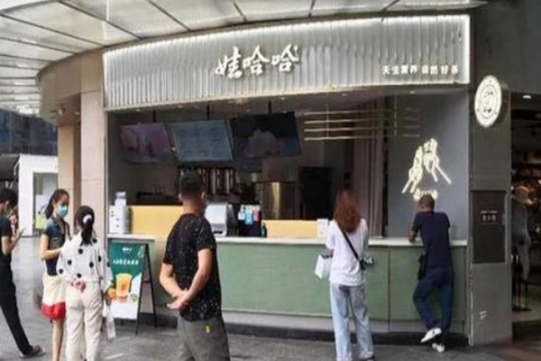娃哈哈奶茶加盟费多少钱？娃哈哈奶茶加盟赚钱吗