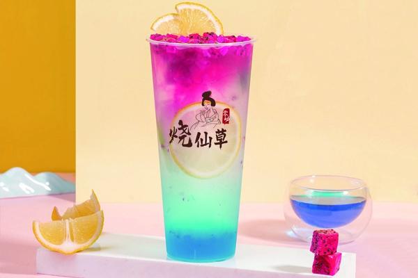 零动烧仙草加盟费多少钱？零动烧仙草加盟总部扶持政策是什么？