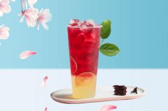 布丁奶茶加盟流程是什么?有什么加盟优势