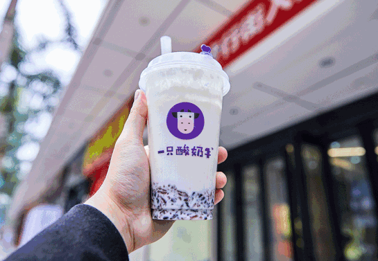 一只酸奶牛加盟费一般多少，所需投资成本受多重因素影响