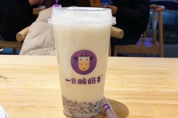 一只酸奶牛总部在哪啊?大重庆随时欢迎您的考察……