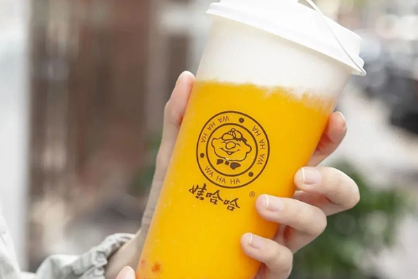 娃哈哈奶茶开店大概需要多少钱？准备多少钱才够经营起来？