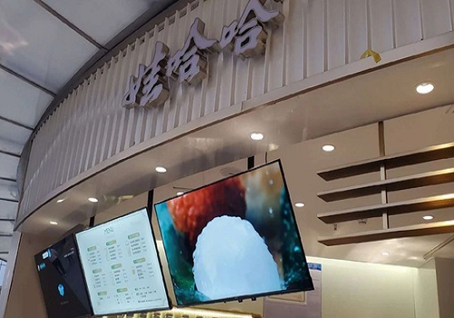 娃哈哈奶茶店官网公布开店条件！满足这些就能顺利开店