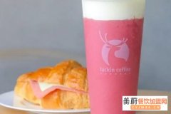 小鹿茶加盟项目盈利高吗,开一家小鹿茶月收入有多少