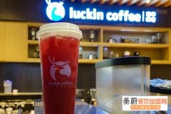 小鹿茶加盟一年能有多少营业额,小鹿茶加盟有哪些优势