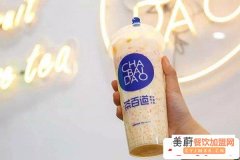 加盟茶百道需要多少钱_茶百道奶茶加盟总部电话