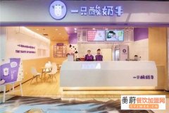 一只酸奶牛加盟费是多少？一只酸奶牛加盟利润是多少？