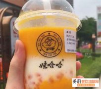 娃哈哈奶茶店加盟热线电话多少钱？娃哈哈奶茶加盟详情