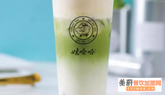 娃哈哈奶茶开店需要投资多少钱娃哈哈奶茶咨询电话