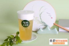 阿水大杯茶加盟需要多少钱？小本创业_2021年创业好项目