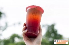 春阳茶事开店多少钱？10平米就能月入上万