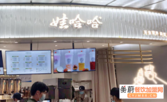 娃哈哈奶茶开店详情，开一家娃哈哈奶茶奶茶加盟费用流程表