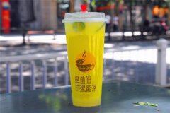 乌煎道黑龙茶加盟有什么优势,六大优势实现快速盈利