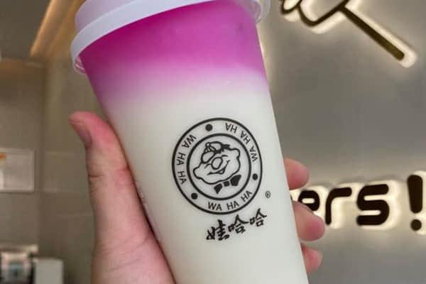 奶茶开店哪家好？想创业选择娃哈哈奶茶