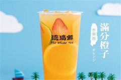 琉璃鲸奶茶加盟收入情况如何,小额投资高额回报赚翻了