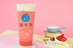 茶小萃奶茶加盟值得投资吗,双十一创业机会有哪些
