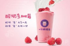一只酸奶牛加盟费利润高吗？加盟费不高，利润也可以！