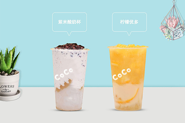 coco奶茶加盟