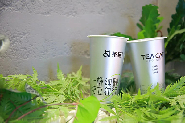 茶猫奶茶加盟电话 —— 开启你的创业之路