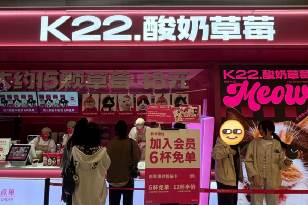 k22酸奶草莓加盟费用明细：k22酸奶草莓加盟咨询热线电话?