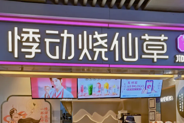 悸动烧仙草加盟要求有哪些？加盟总部扶持有哪些！