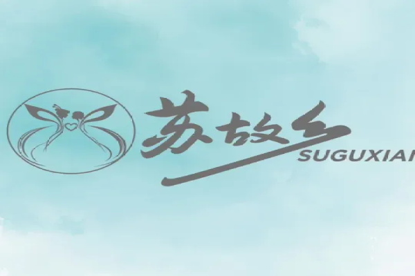 苏故乡宋式美学新茶饮加盟费用明细表：2025苏故乡宋式美学新茶饮加盟官网