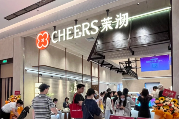 茉沏茶加盟需要满足什么条件?茉沏茶加盟费多少?