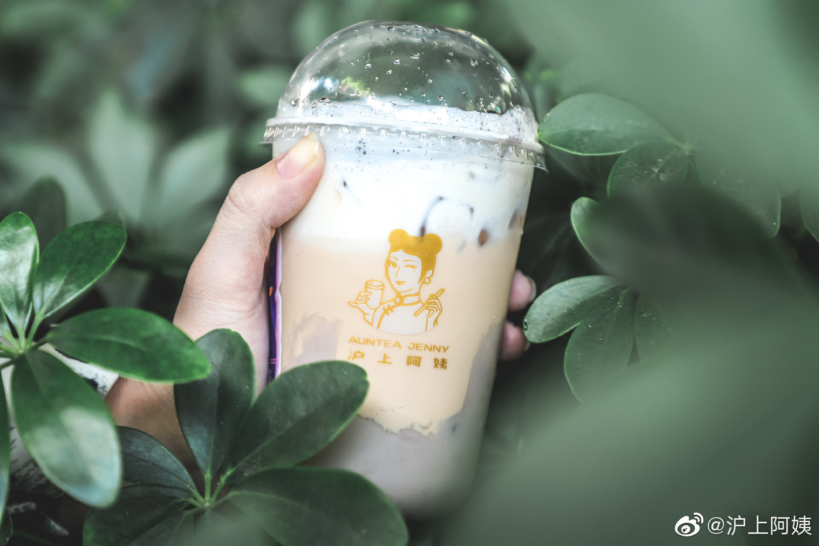 选择沪上阿姨奶茶加盟,开创财富新时代! 选择沪上阿姨奶茶加盟,开创财富新时代!